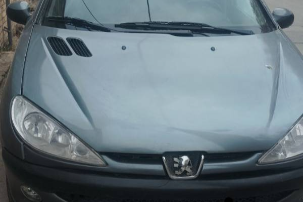 خرید خودرو پژو 206 SD V8 - 1386